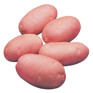 Lal Alu (Red Potato Cardinal) ± 50 gm