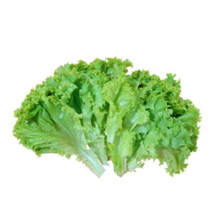 Lettuce Leaves ± 10 gm