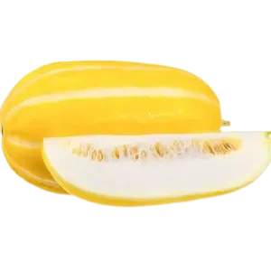 Musk Melon (Bangi)